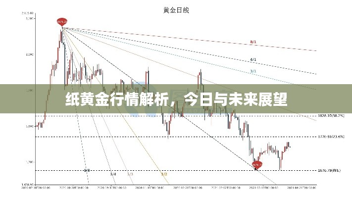 纸黄金行情解析,今日动态及未来展望