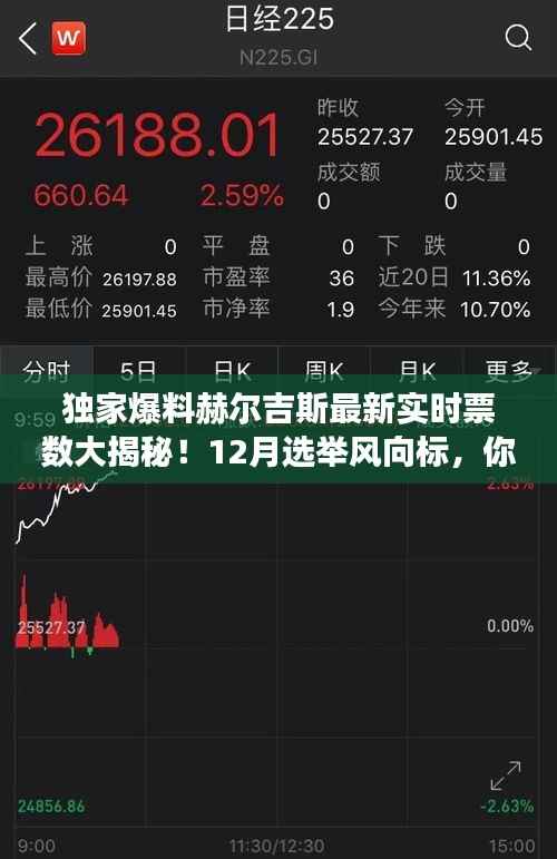 赫尔吉斯最新实时票数独家曝光，12月选举风向标引领投票大潮！
