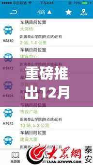 掌中世界,实时摄像机查看器app,预见未来视界重磅上线