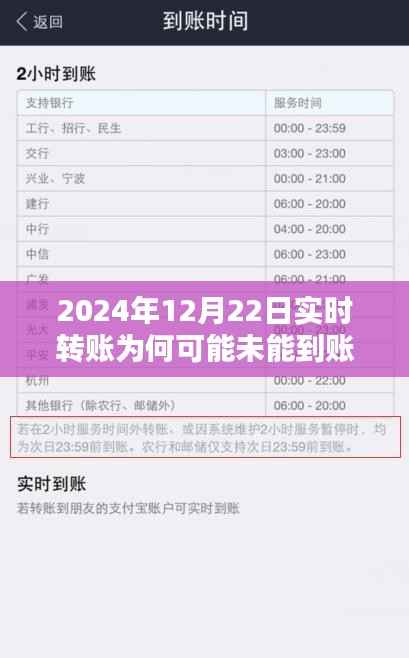 全面解析与案例探究,为何实时转账在2024年12月22日未能成功到账银行卡?