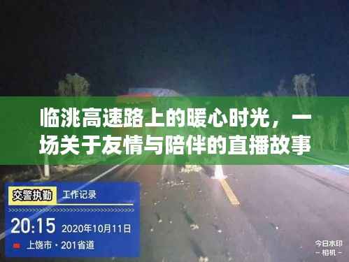 临洮高速路上的暖心直播,友情与陪伴的旅程