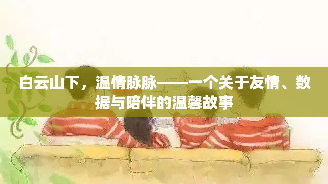 白云山下,温情脉脉,友情、数据与陪伴的动人篇章