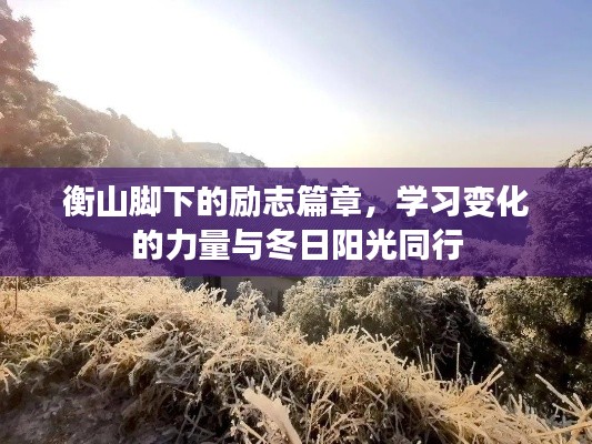 衡山脚下励志篇章，学习力量与冬日阳光同行
