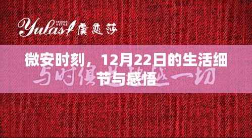微安时刻,12月22日的生活印记与心灵感悟