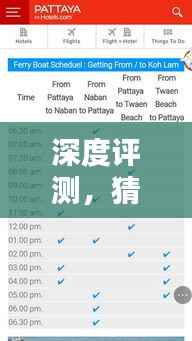 深度评测，预测EXO实时投票体验的未来趋势（2024年12月22日）