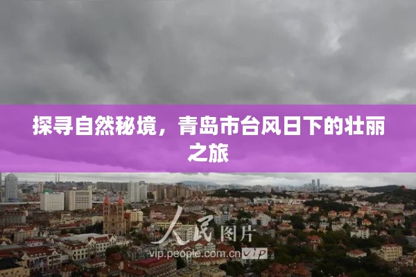 青岛台风日下的自然秘境探寻之旅