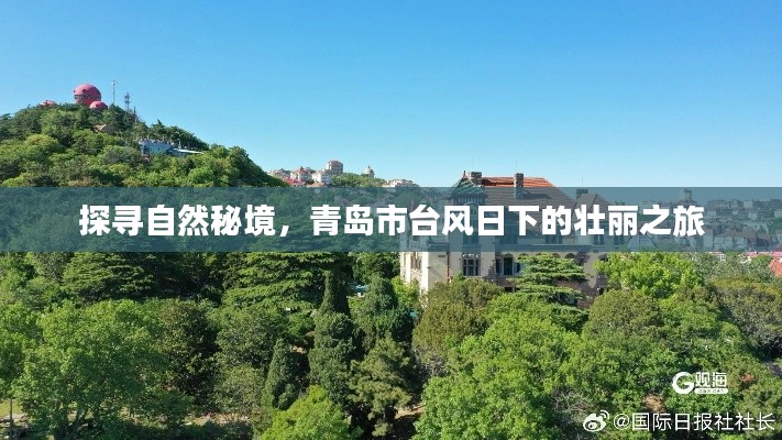 青岛台风日下的自然秘境探寻之旅