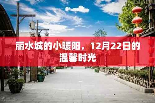 丽水城暖心时光,12月22日的温馨小暖阳
