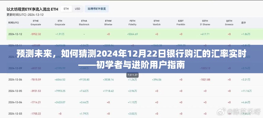 初学者与进阶用户指南,预测与猜测银行购汇汇率实时动态——2024年银行购汇汇率预测实战指南