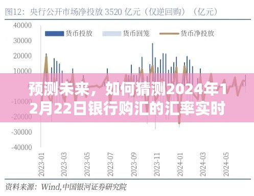 初学者与进阶用户指南,预测与猜测银行购汇汇率实时动态——2024年银行购汇汇率预测实战指南