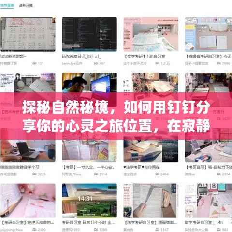 探秘自然秘境的心灵之旅,钉钉分享,寂静中的平和之旅(2024年12月22日)