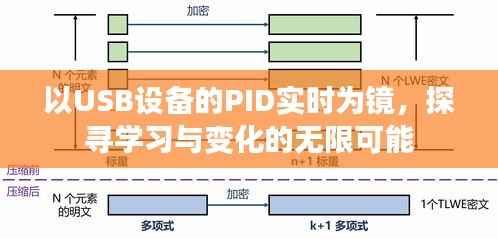 USB设备的PID实时镜像,探寻学习与变化的无限潜力