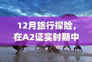 A2证实时期的心灵之旅,12月探险找回内心的宁静与平和