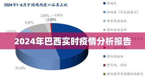2024年巴西实时疫情动态分析报告