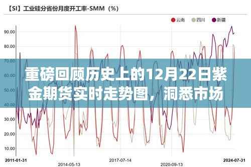 揭秘历史12月22日紫金期货走势图,洞悉市场风云,洞悉未来趋势!