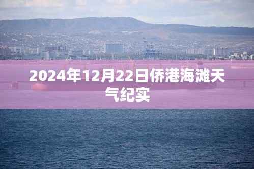 侨港海滩冬日纪实,2024年12月22日的天气与风情