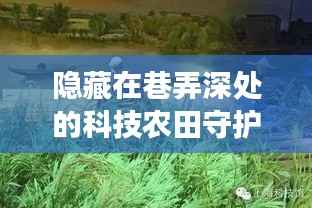 农作物实时监测的奇妙之旅,科技农田守护者的巷弄深处故事