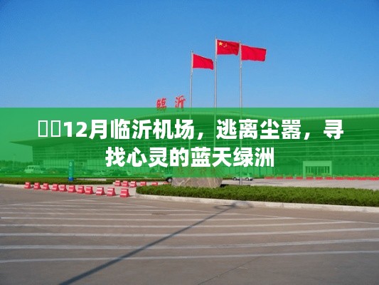 临沂机场,逃离喧嚣,心灵蓝天绿洲的探寻之旅