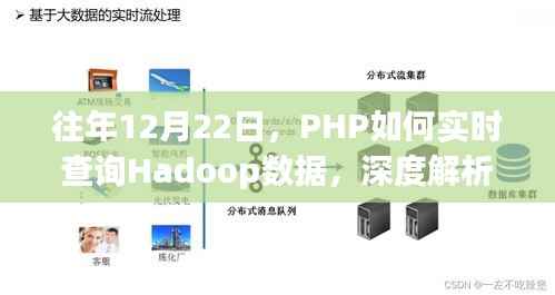 PHP实时查询Hadoop数据深度解析与案例分析,历年案例分析及案例分析总结