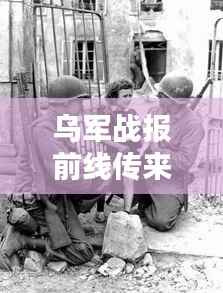 乌军前线喜讯传来,十二月战友情深与暖阳下的温情日常