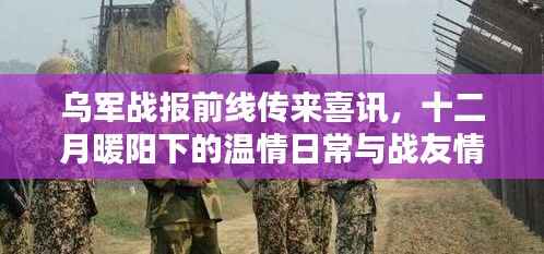 乌军前线喜讯传来,十二月战友情深与暖阳下的温情日常