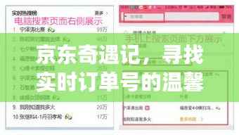 京东奇遇记,实时订单号探寻的温馨之旅