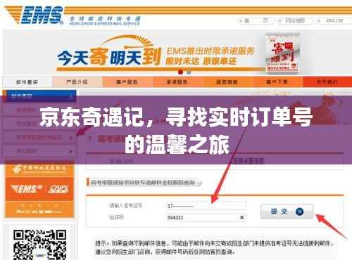 京东奇遇记,实时订单号探寻的温馨之旅