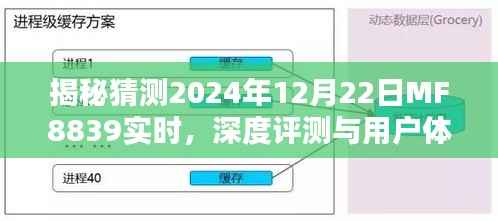 揭秘,MF8839航班深度评测与用户体验分析——2024年12月22日实时揭秘