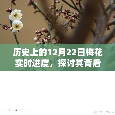 12月22日梅花文化意义与个人观点探讨,历史实时进度下的深度解析