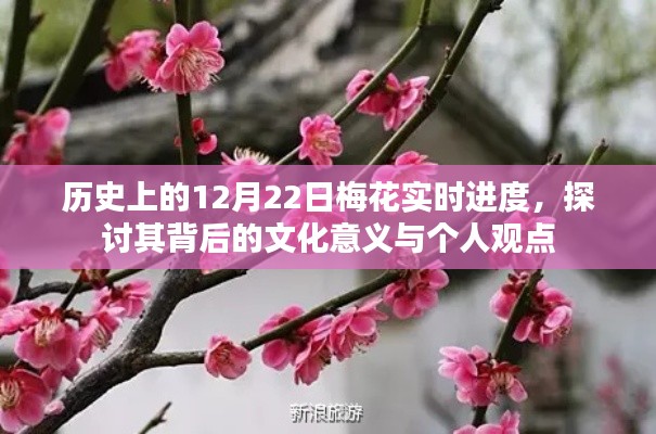 12月22日梅花文化意义与个人观点探讨,历史实时进度下的深度解析