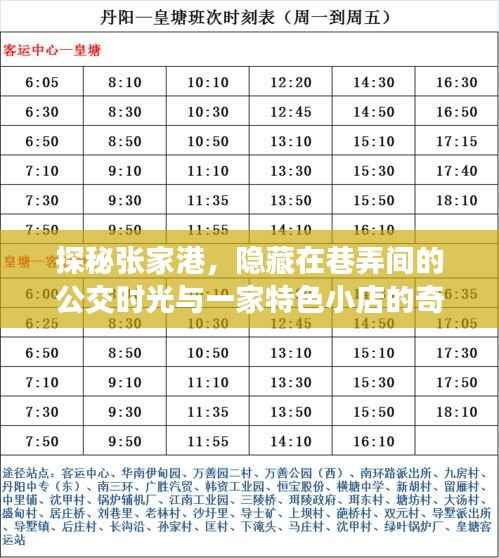 探秘张家港,公交时光与巷弄特色小店的奇妙之旅
