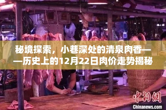 秘境探索,揭秘历史上的肉价走势——小巷深处的清泉肉香,12月22日肉价走势大揭秘