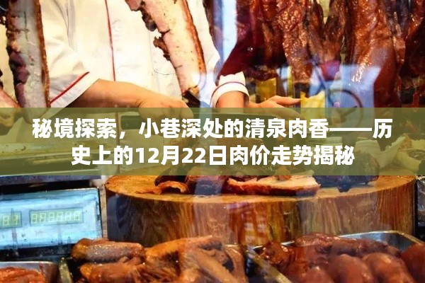 秘境探索,揭秘历史上的肉价走势——小巷深处的清泉肉香,12月22日肉价走势大揭秘