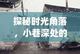 探秘时光角落，2024年12月22日小巷深处的特色小店奇妙一览