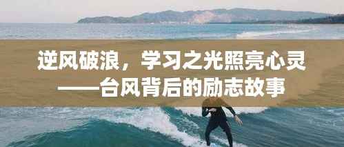 台风背后的励志故事,逆风破浪,学习之光照亮心灵