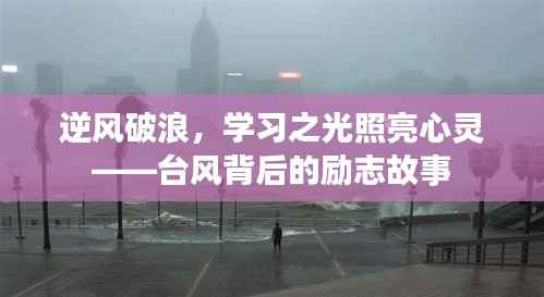 台风背后的励志故事,逆风破浪,学习之光照亮心灵