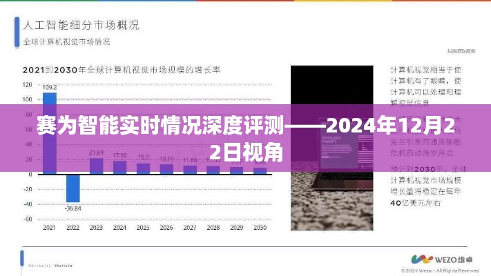 赛为智能实时情况深度解析,2024年视角观察评测报告