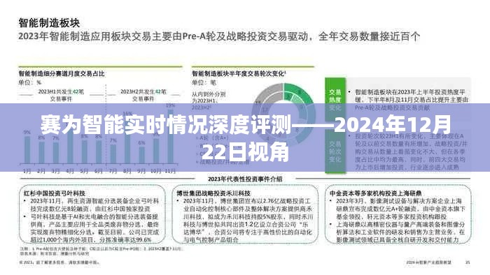 赛为智能实时情况深度解析,2024年视角观察评测报告