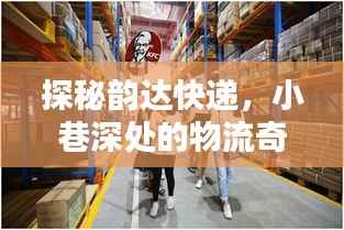 韵达快递探秘，物流奇迹与独特小店的风情之旅