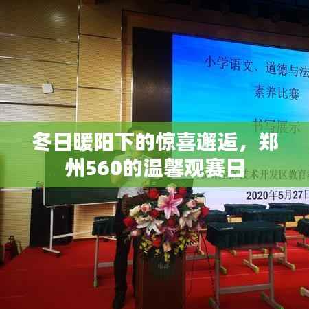 郑州冬日观赛日,暖阳下的意外邂逅与560的温馨时刻