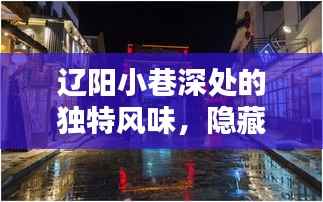 辽阳小巷深处的独特风味,天气播报背后的惊喜美食小店