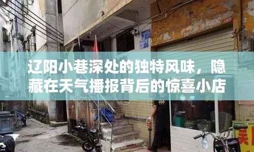 辽阳小巷深处的独特风味,天气播报背后的惊喜美食小店
