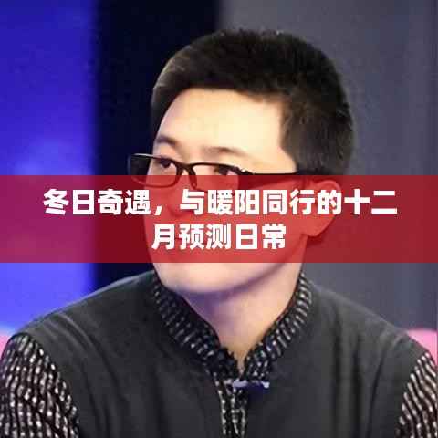 冬日奇遇,暖阳同行的十二月日常预测