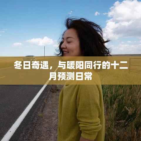 冬日奇遇,暖阳同行的十二月日常预测