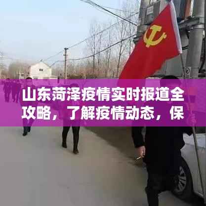 山东菏泽疫情实时报道全攻略,守护你我他的健康之路