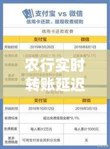农行实时转账延迟现象解析,背后的原因及解决方案探讨