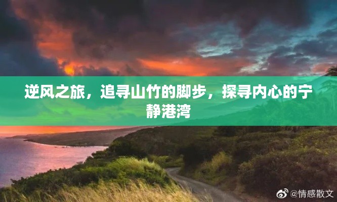 逆风之旅,追寻山竹的脚步,寻觅内心宁静港湾的旅程