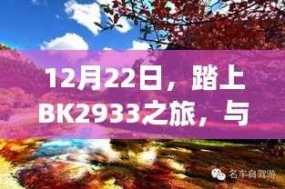 12月22日启程BK2933之旅,与自然共舞,探寻内心宁静
