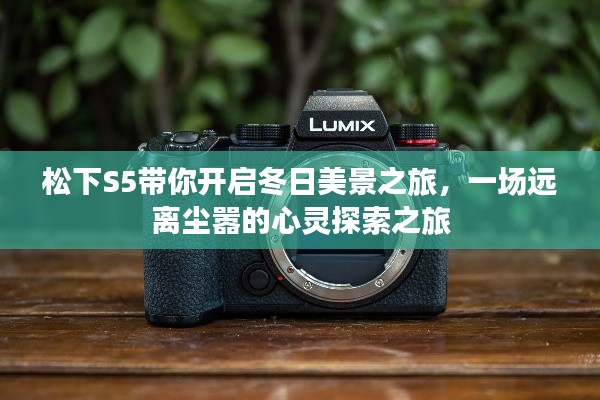 松下S5带你领略冬日美景,心灵探索之旅启程