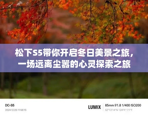 松下S5带你领略冬日美景,心灵探索之旅启程